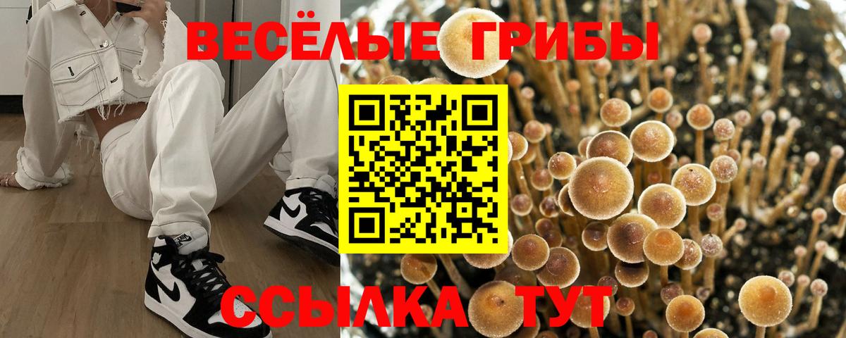 Псилоцибиновые грибы ЛСД Новотроицк