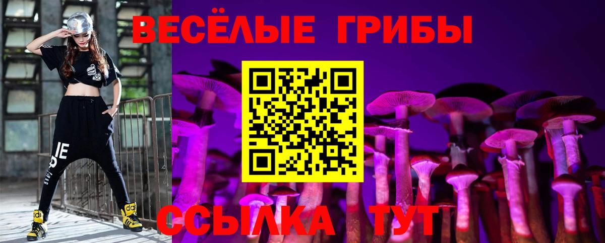 Новотроицк  цена   Псилоцибиновые грибы Cubensis  Вход с VPN  Галлюциногенные грибы Psilocybe 